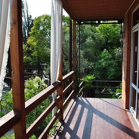 Villa Oliva New Athos Eksteriør billede