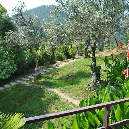 Villa Oliva New Athos Eksteriør billede