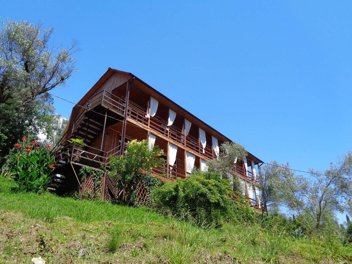 Villa Oliva New Athos Eksteriør billede