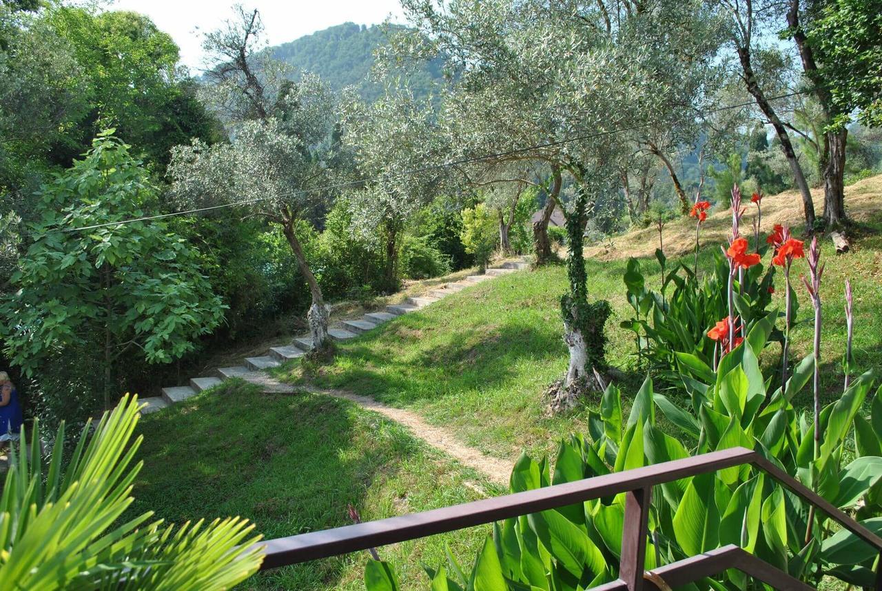 Villa Oliva New Athos Eksteriør billede